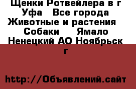 Щенки Ротвейлера в г.Уфа - Все города Животные и растения » Собаки   . Ямало-Ненецкий АО,Ноябрьск г.